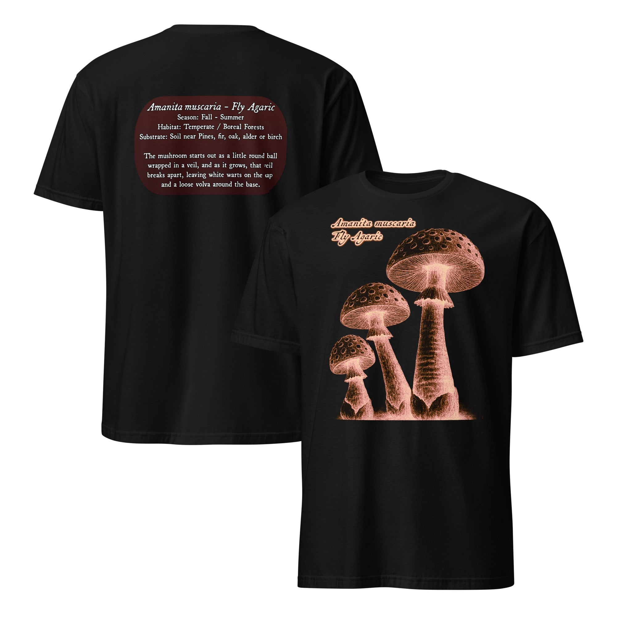 Mushroom Species T‑Shirts – Illustrated Tees with Fun Facts
