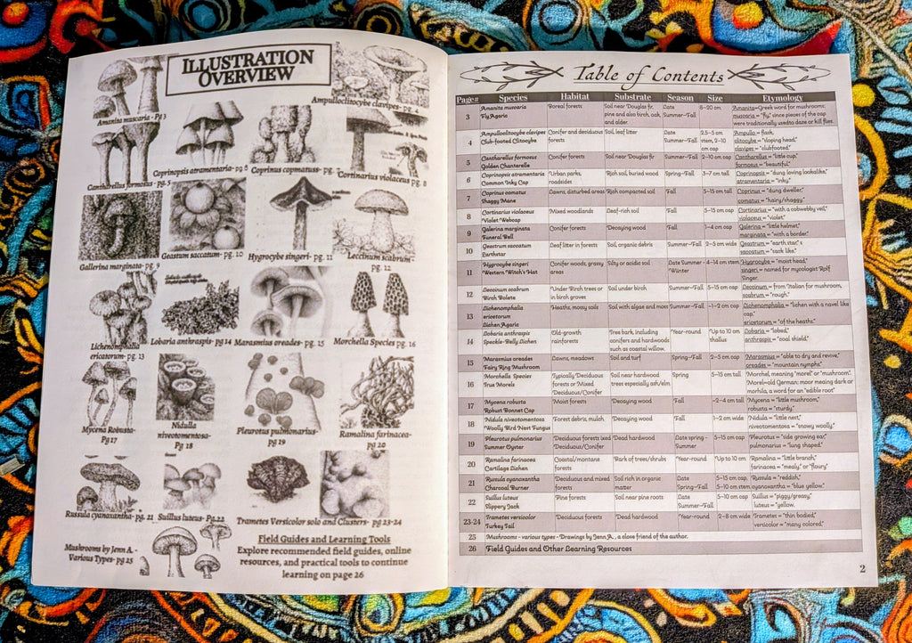 The Field Book of Illustrated Mushrooms
