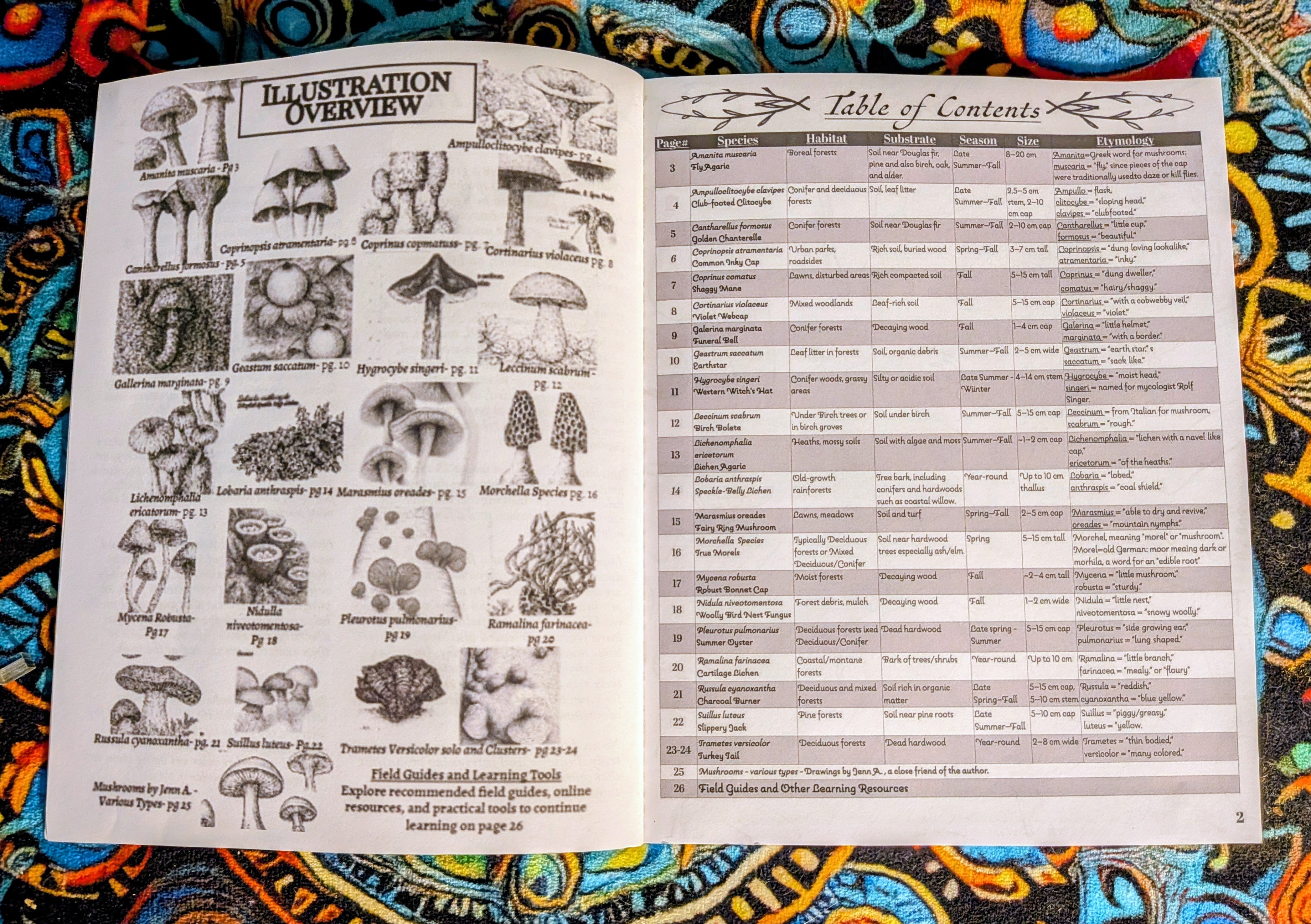 The Field Book of Illustrated Mushrooms