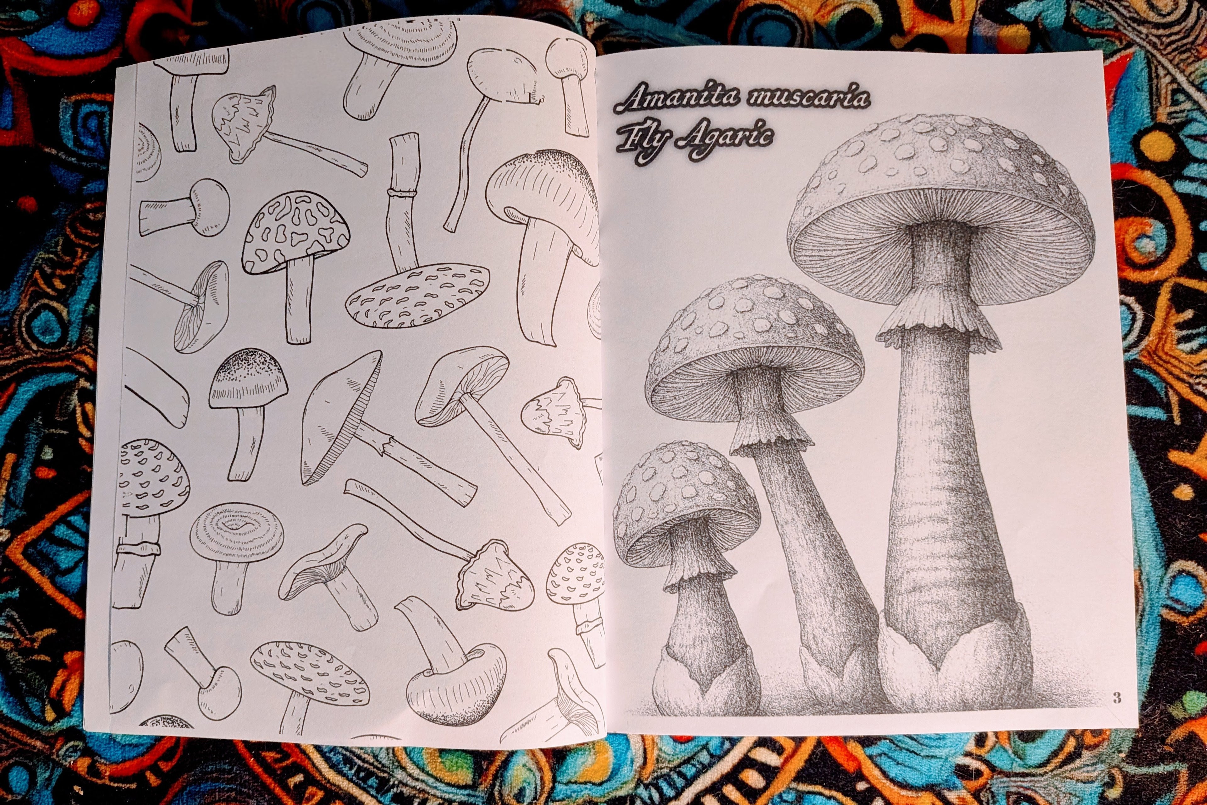 The Field Book of Illustrated Mushrooms