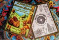 The Field Book of Illustrated Mushrooms