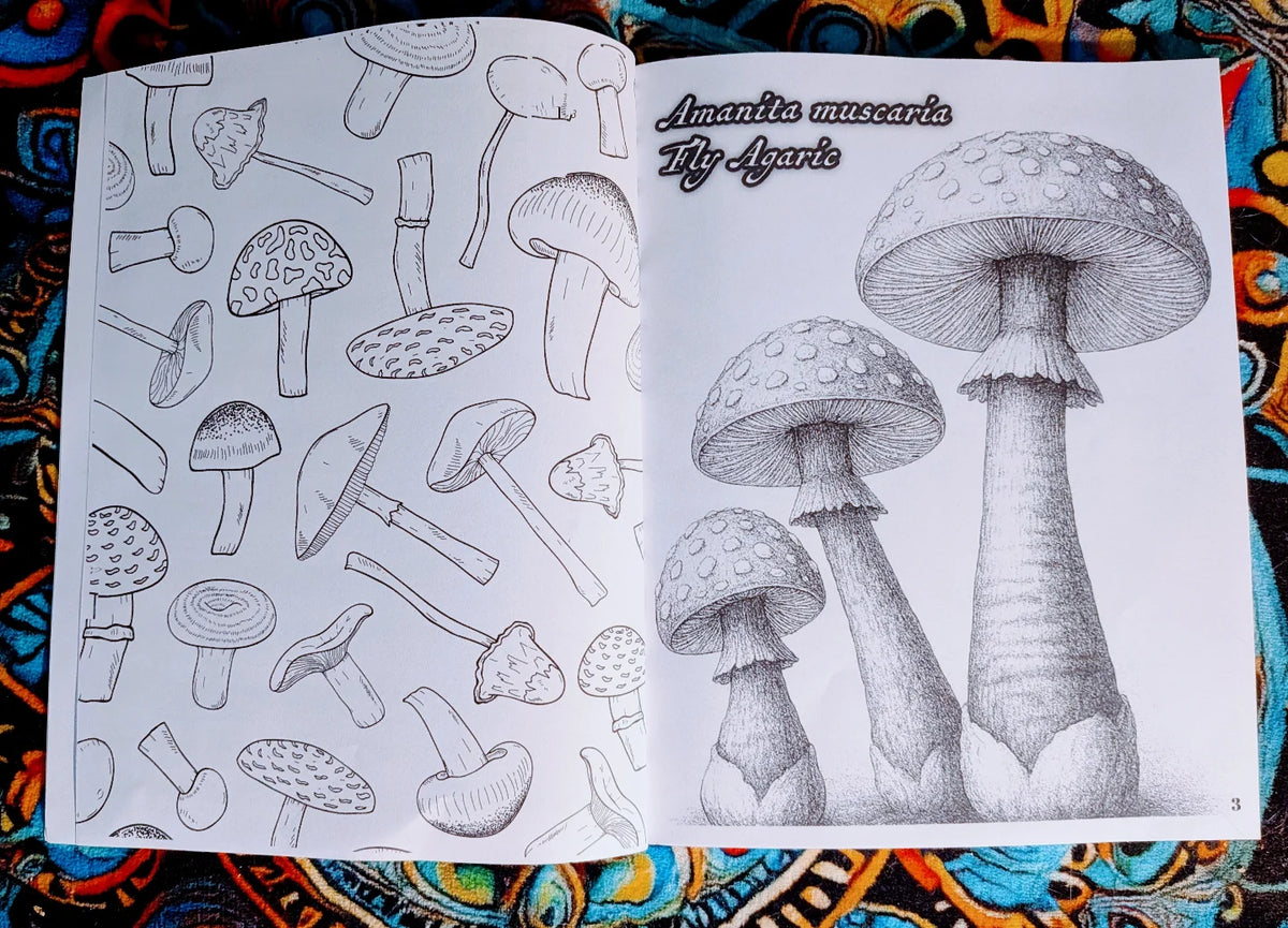 The Field Book of Illustrated Mushrooms